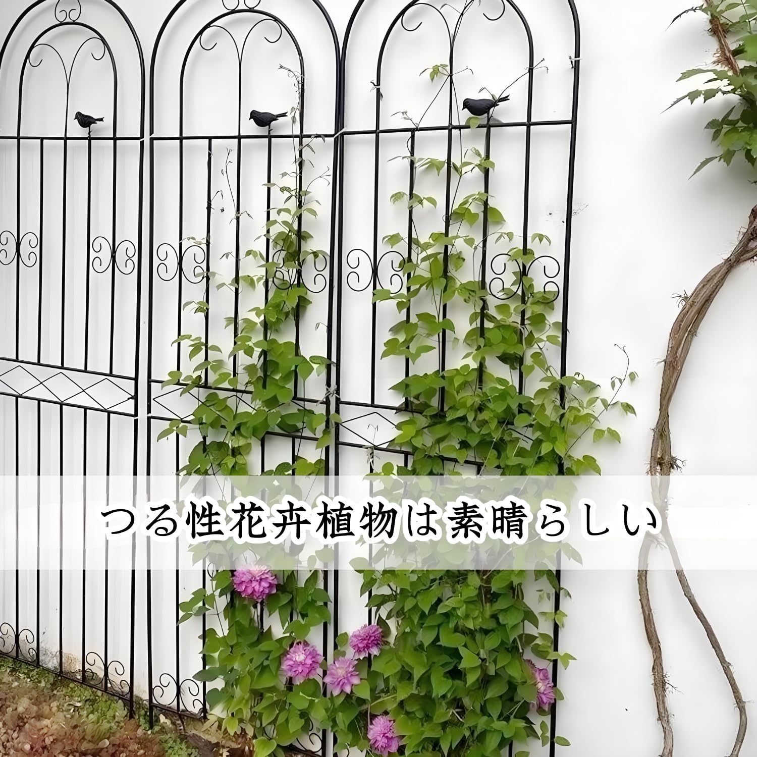 Amazon.co.jp: アイアン フェンス ガーデニング 目隠し 柵 バラ